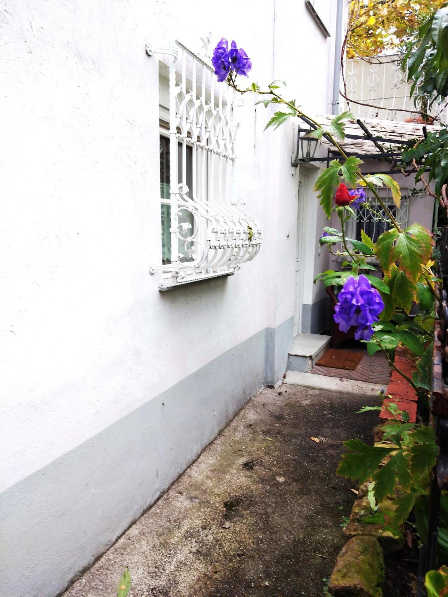 Ferienwohnung Appertment Im Garten Worms Exterior foto